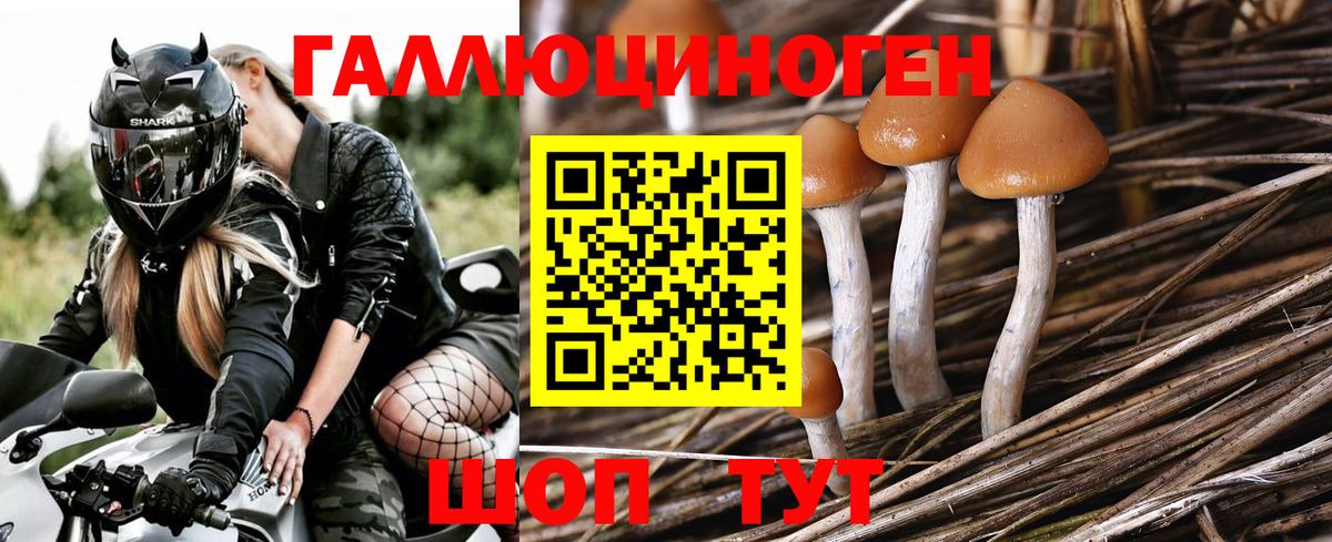 Каменск-Уральский  Псилоцибиновые грибы мухоморы  Вход с VPN 